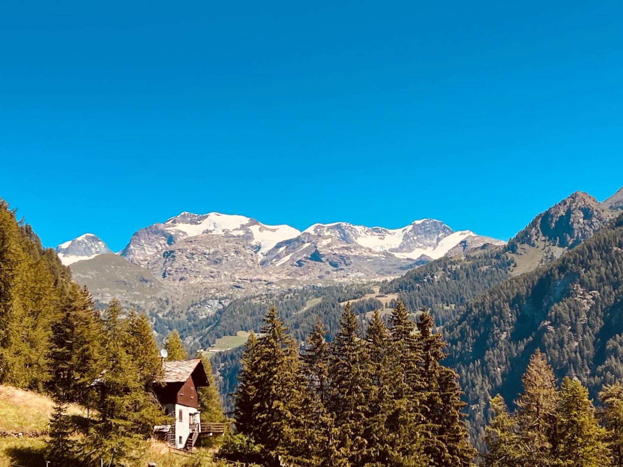 Affittacamere Buenavista Guest House Champoluc Exterior foto